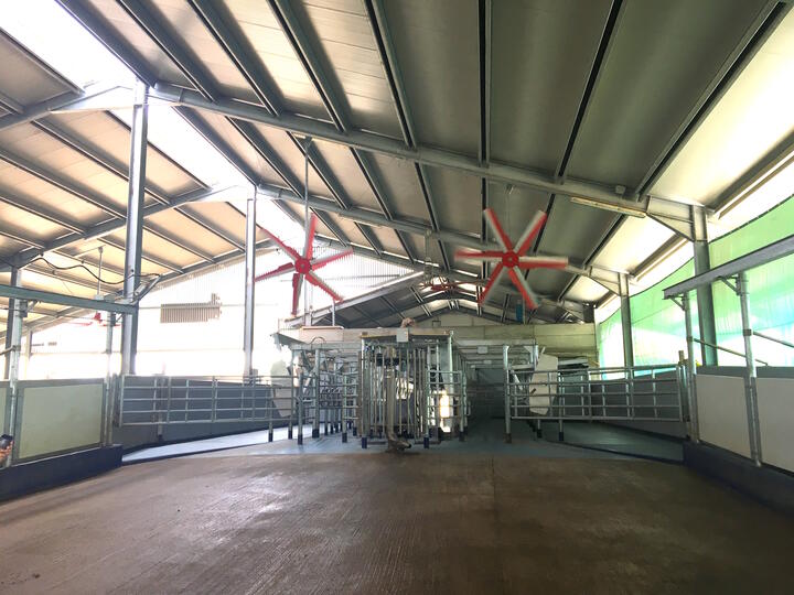 cmp-vertigo-hvls-fan-turbo-hvls